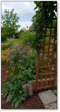 a garden with a wooden trellis and flowers