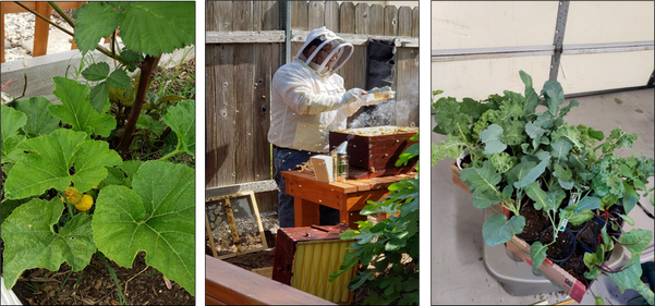 a collage of pictures showing a person in a bee suit tending to plants in a garden